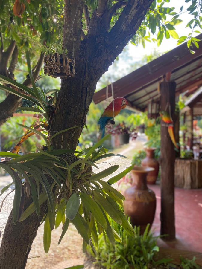 Hotel นพรัตน์การ์เด้นฮิลล์ Uthai Thani Exterior foto